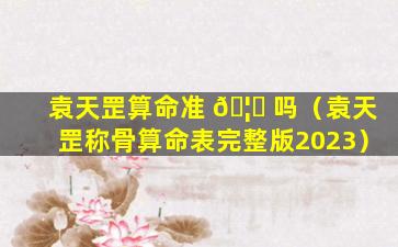 袁天罡算命准 🦊 吗（袁天罡称骨算命表完整版2023）